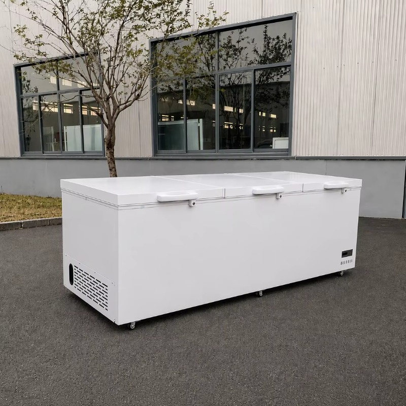 Stainless Steel Material Super - Commercial Chest Freezer recension och pris