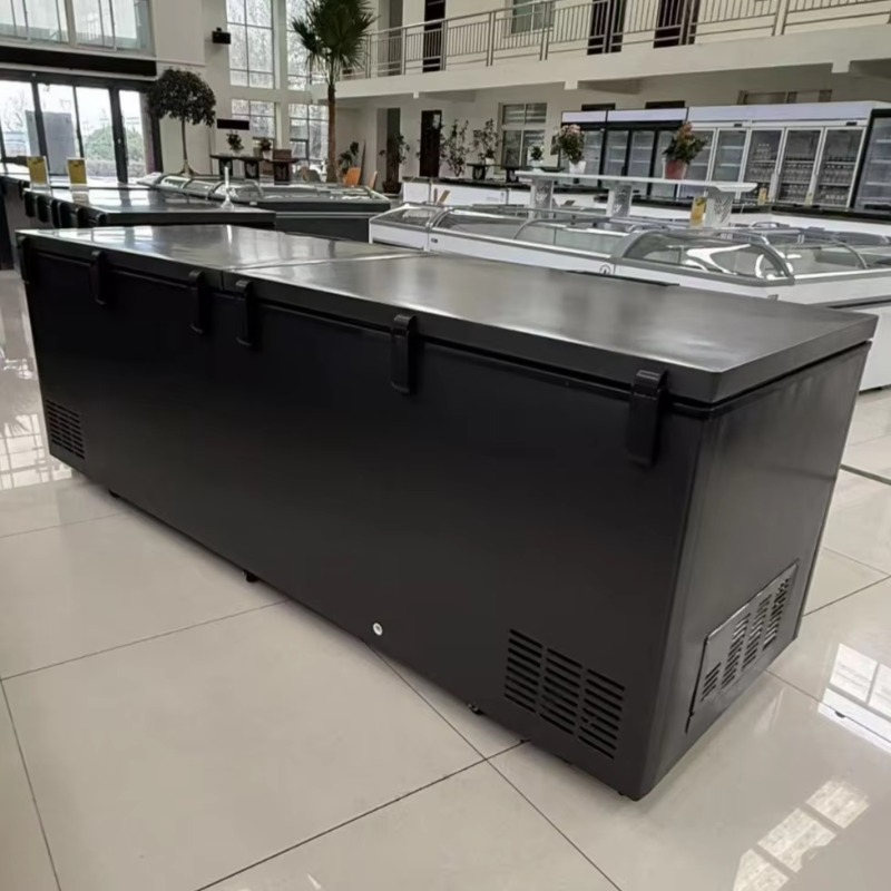 Commercial Double Door Horizon - Commercial Chest Freezer recension och pris